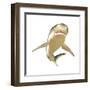 Tiger Shark-null-Framed Art Print