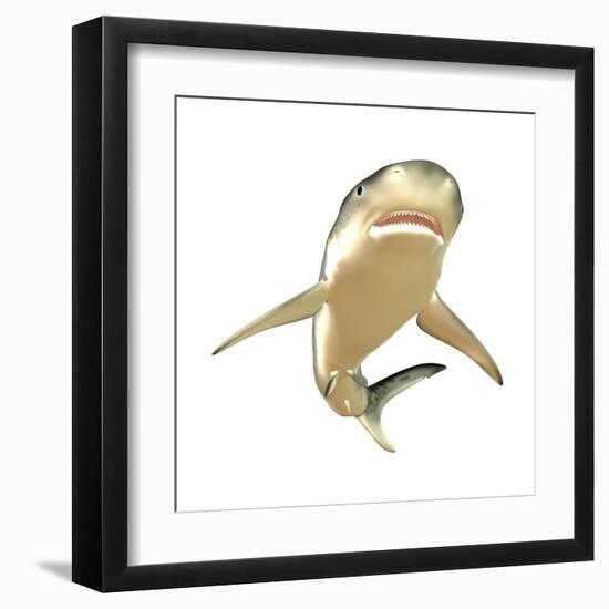 Tiger Shark-null-Framed Art Print