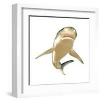 Tiger Shark-null-Framed Art Print