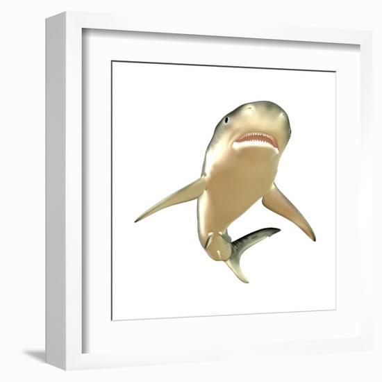 Tiger Shark-null-Framed Art Print