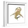 Tiger Shark-null-Framed Art Print