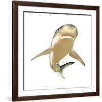 Tiger Shark-null-Framed Art Print