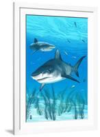 Tiger Shark-Lantern Press-Framed Art Print