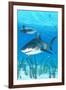 Tiger Shark-Lantern Press-Framed Art Print