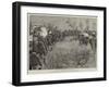 Tiger Shooting in India-null-Framed Giclee Print