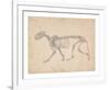 Tiger Skeleton, Lateral View-George Stubbs-Framed Premium Giclee Print