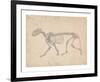 Tiger Skeleton, Lateral View-George Stubbs-Framed Premium Giclee Print