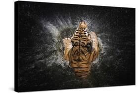 Tiger Splash-Win Leslee-Stretched Canvas