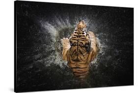 Tiger Splash-Win Leslee-Stretched Canvas