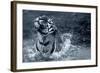 Tiger Splash-Gordon Semmens-Framed Photographic Print