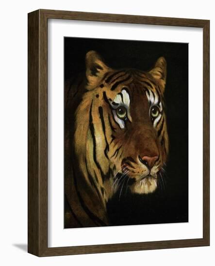 Tiger Study, 1908-1909-null-Framed Giclee Print