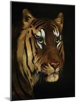Tiger Study, 1908-1909-null-Mounted Giclee Print