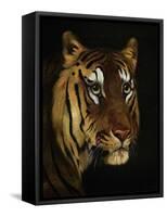 Tiger Study, 1908-1909-null-Framed Stretched Canvas