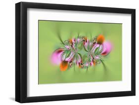 Tiger Swallowtail butterfly on purple coneflower, Kentucky-Adam Jones-Framed Photographic Print