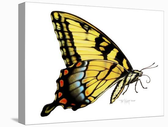 Tiger Swallowtail Butterfly-Tim Knepp-Stretched Canvas