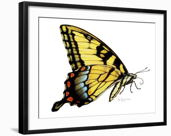 Tiger Swallowtail Butterfly-Tim Knepp-Framed Giclee Print