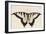 Tiger Swallowtail Butterfly-John White-Framed Art Print