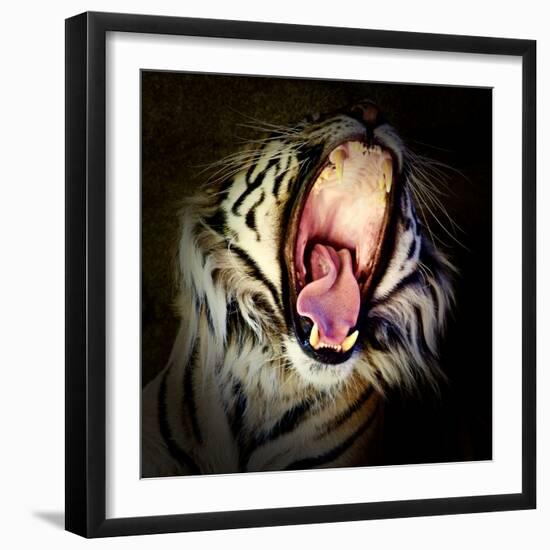 Tiger Teeth, 2017-Eric Meyer-Framed Photographic Print