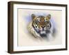 Tiger, Tiger, Burning Bright-Stuart Coffield-Framed Giclee Print
