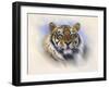 Tiger, Tiger, Burning Bright-Stuart Coffield-Framed Giclee Print