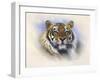 Tiger, Tiger, Burning Bright-Stuart Coffield-Framed Giclee Print