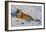 Tiger Watching in the Snow-Martin Fowkes-Framed Giclee Print