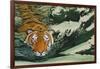 Tiger Waters-Graeme Stevenson-Framed Giclee Print