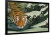 Tiger Waters-Graeme Stevenson-Framed Giclee Print