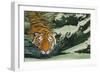 Tiger Waters-Graeme Stevenson-Framed Giclee Print