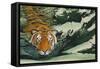 Tiger Waters-Graeme Stevenson-Framed Stretched Canvas