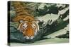 Tiger Waters-Graeme Stevenson-Stretched Canvas