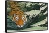 Tiger Waters-Graeme Stevenson-Framed Stretched Canvas