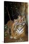 Tiger with Cub-null-Stretched Canvas