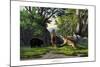 Tiger Wolf, 1860-null-Mounted Giclee Print