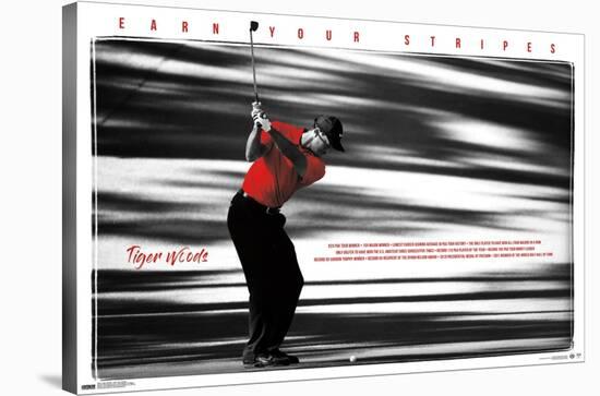 Tiger Woods - Earn Your Stripes-Trends International-Stretched Canvas