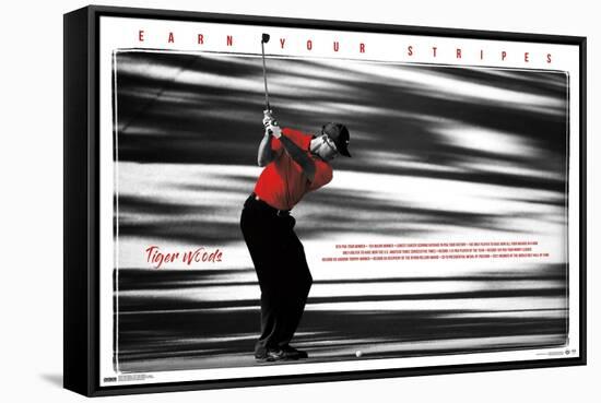 Tiger Woods - Earn Your Stripes-Trends International-Framed Stretched Canvas