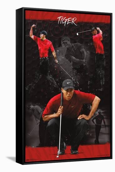 Tiger Woods - Sketch-Trends International-Framed Stretched Canvas