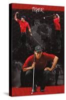 Tiger Woods - Sketch-Trends International-Stretched Canvas