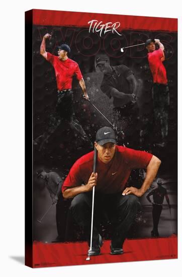 Tiger Woods - Sketch-Trends International-Stretched Canvas