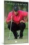 Tiger Woods - The Ball & Me-Trends International-Mounted Poster