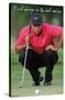 Tiger Woods - The Ball & Me-Trends International-Stretched Canvas