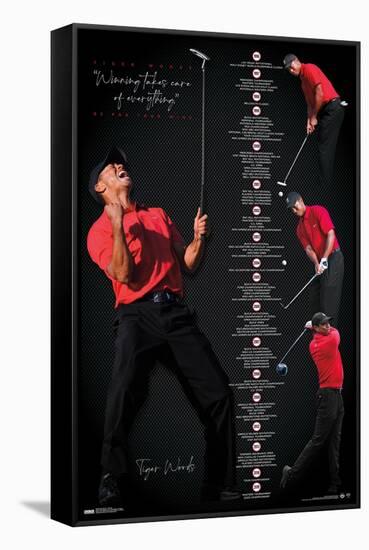 Tiger Woods - Timeline-Trends International-Framed Stretched Canvas