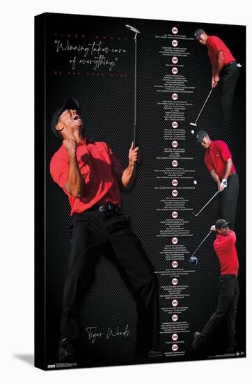 Tiger Woods - Timeline-Trends International-Stretched Canvas