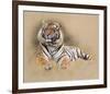 Tiger-Gary Stinton-Framed Collectable Print