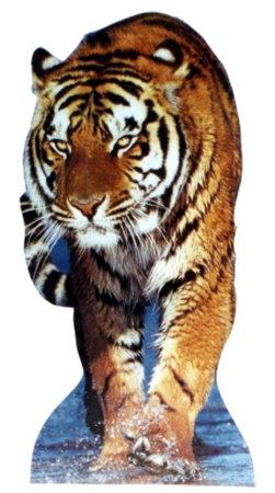 Tiger' Cardboard Cutouts 