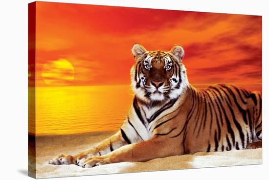 Tiger-null-Stretched Canvas