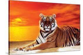 Tiger-null-Stretched Canvas