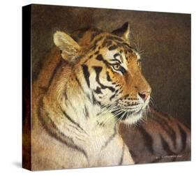 Tiger-Chris Vest-Stretched Canvas