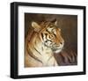 Tiger-Chris Vest-Framed Art Print