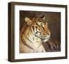 Tiger-Chris Vest-Framed Art Print